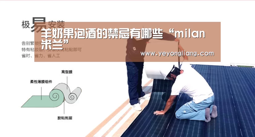 米兰·(milan)中国官网