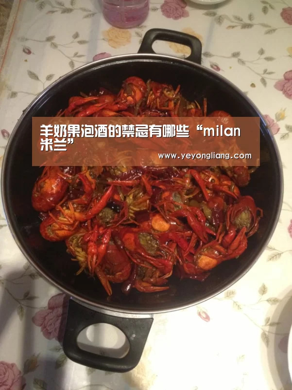 米兰·(milan)中国官网
