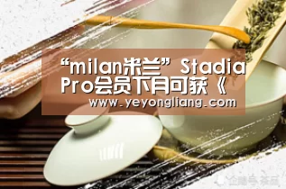 “milan米兰”Stadia Pro会员下月可获《GYLT》和《地铁:逃离》(图3) 米兰官方网站