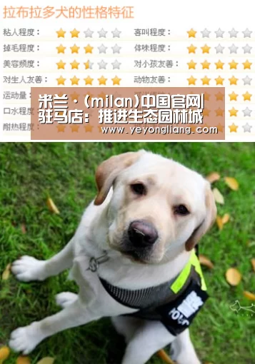 米兰·(milan)中国官网|驻马店:推进生态园林城市建设(图1) 米兰官方网站