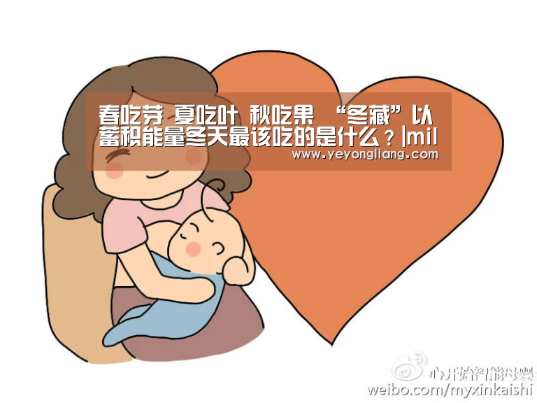 春吃芽 夏吃叶 秋吃果 “冬藏”以蓄积能量冬天最该吃的是什么?|milan米兰(图1) 米兰官方网站