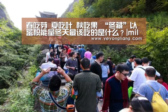 春吃芽 夏吃叶 秋吃果 “冬藏”以蓄积能量冬天最该吃的是什么?|milan米兰(图2) milan米兰