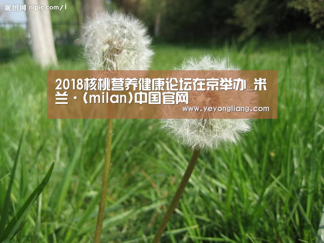 2018核桃营养健康论坛在京举办_米兰·(milan)中国官网(图1) milan米兰