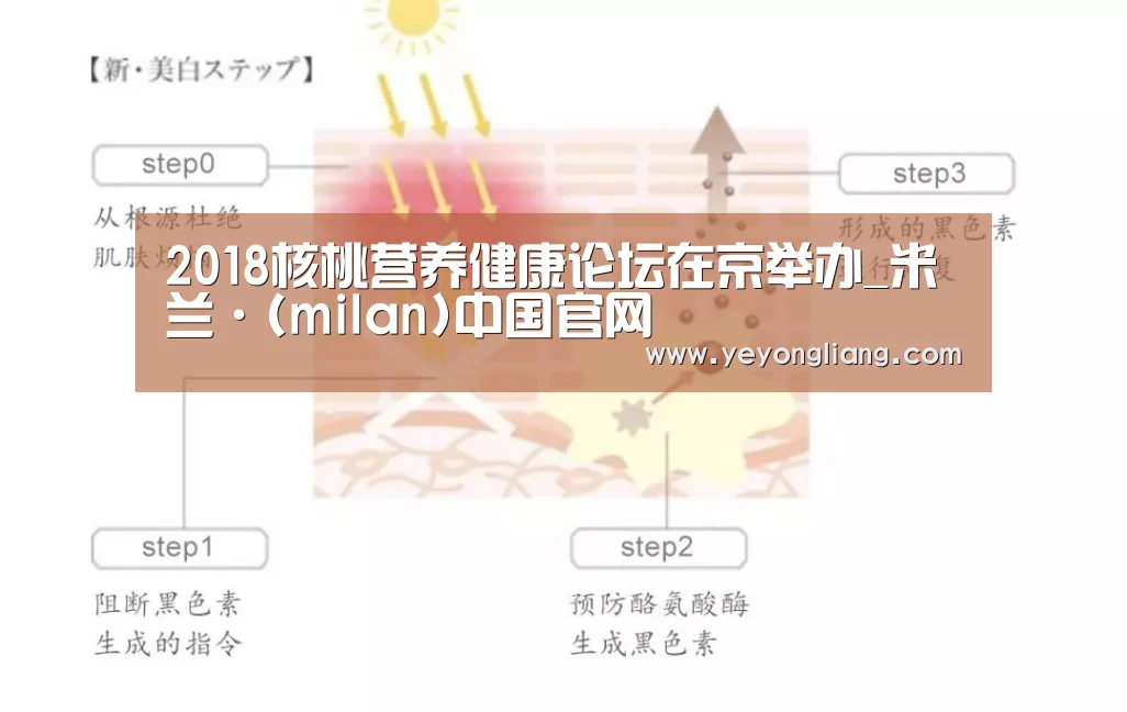 2018核桃营养健康论坛在京举办_米兰·(milan)中国官网(图2) 米兰官方网站