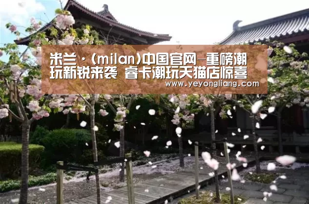 米兰·(milan)中国官网-重磅潮玩新锐来袭 睿卡潮玩天猫店惊喜上线(图2) milan米兰